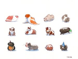 12 - no 13 ! - guinea pigs