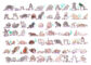 73 Raccoons, original watercolor - Image 2