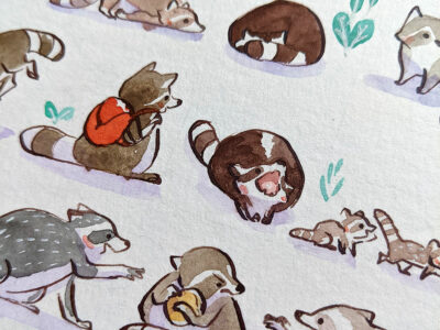 Aquarelle 73 Ratons-Laveurs – Image 6