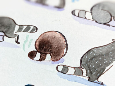 Aquarelle 73 Ratons-Laveurs – Image 4