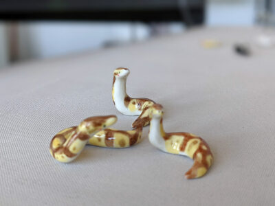 Porcelain Ball Python - Image 11