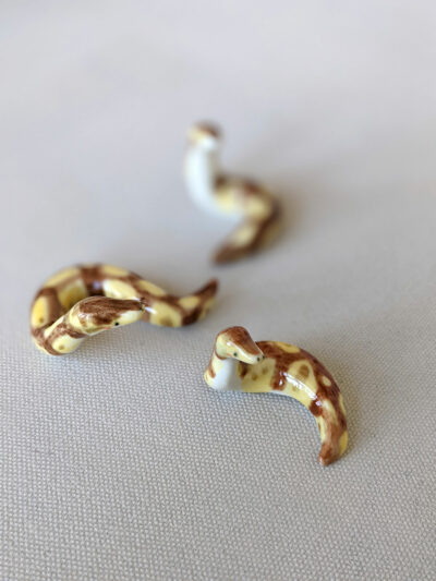 Porcelain Ball Python - Image 10