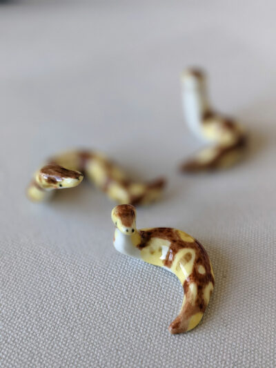 Porcelain Ball Python - Image 6