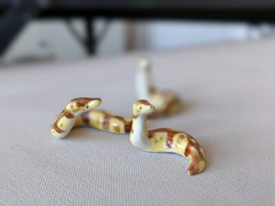 Porcelain Ball Python - Image 9