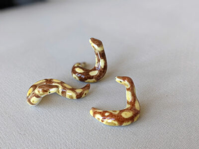 Porcelain Ball Python - Image 7