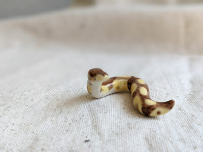 Porcelain Ball Python - Image 4