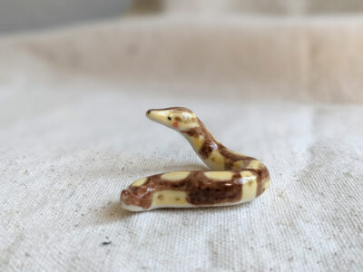 Porcelain Ball Python - Image 3