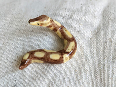 Porcelain Ball Python - Image 5