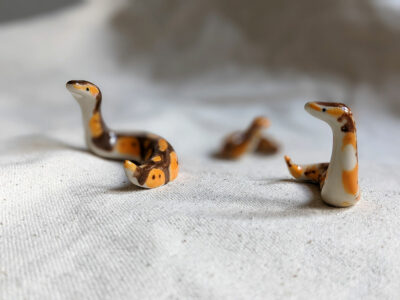 Porcelain Ball Python - Image 13