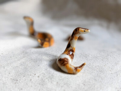 Porcelain Ball Python - Image 15