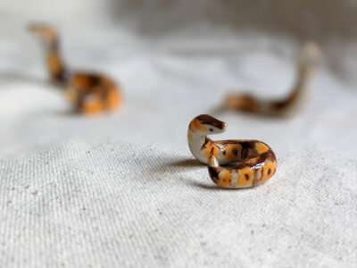 Porcelain Ball Python - Image 16