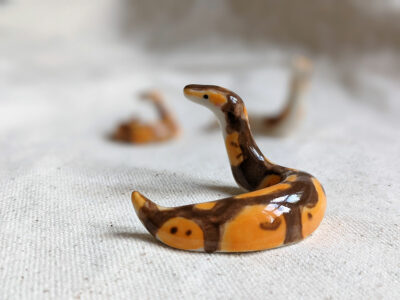 Porcelain Ball Python - Image 17