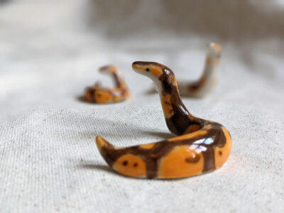 Porcelain Ball Python - Image 18