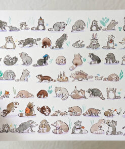 raccons drawing watercolor