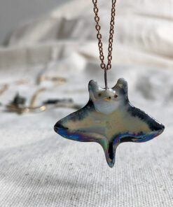 Requin et Raie
