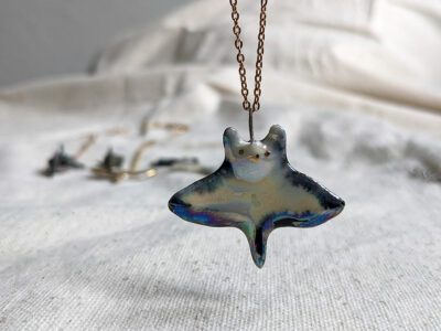 Requin et Raie