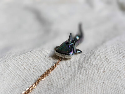 Requin et Raie – Image 4