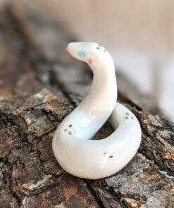 White and gold Python