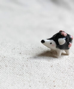 Hedgehogs and flowers