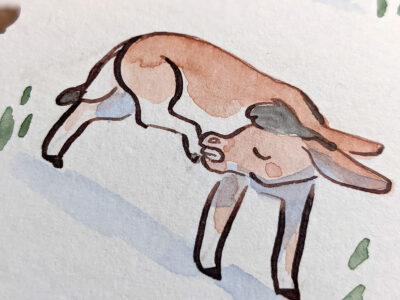 22 Ânes, aquarelle originale – Image 4