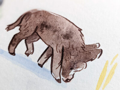 22 Ânes, aquarelle originale – Image 6