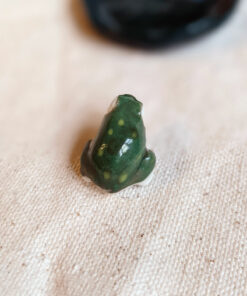 Frog and lilly pad