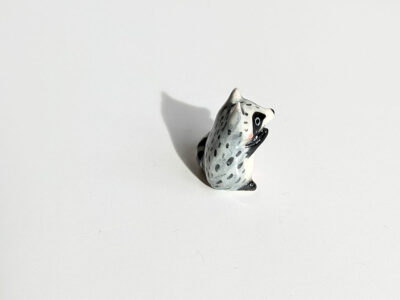 porcelain raccoon kit