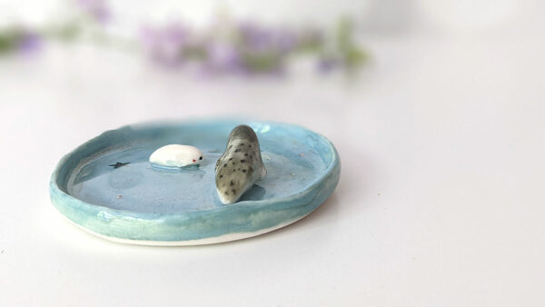 porcelain ring dish seal