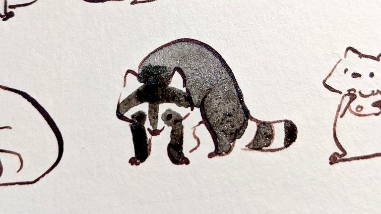 dessin de ratons laveurs - aquarelle noire pailletée