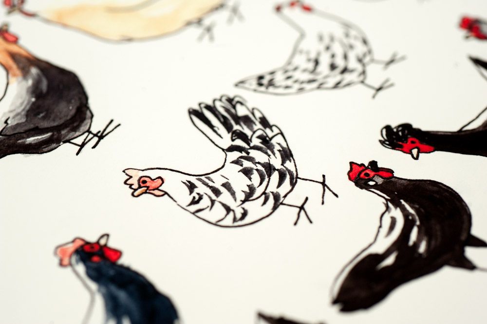 dessin de poules, détail 