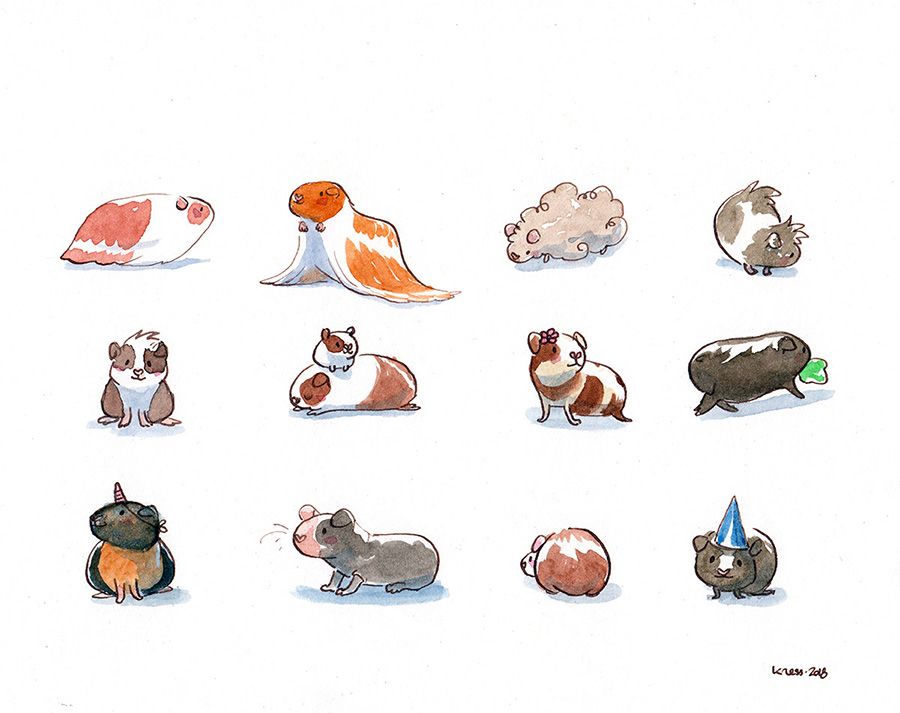 Cute Guinea Pigs Pattern 