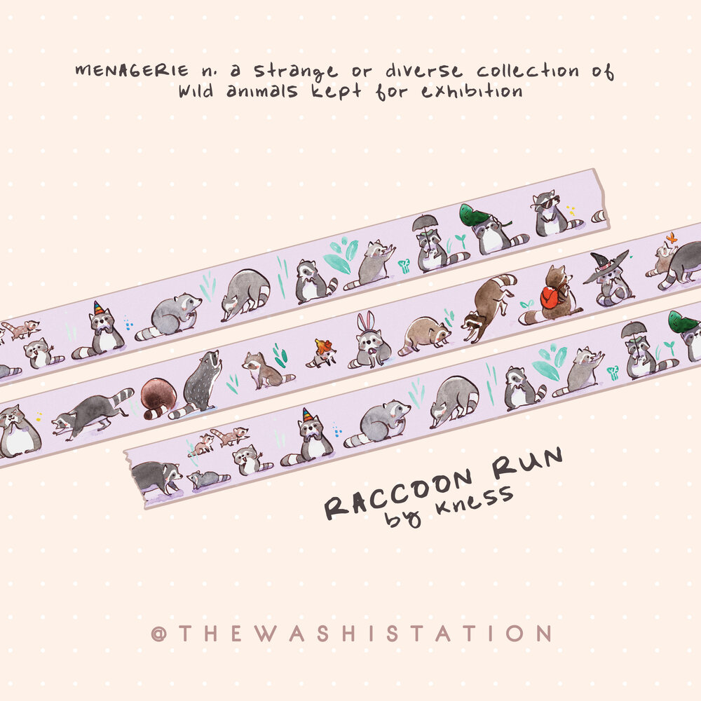 washi tape raton laveur