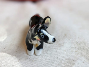 Corgi cardigan porcelaine