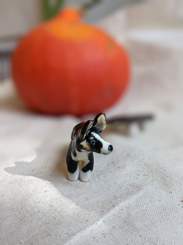 Corgi cardigan porcelaine