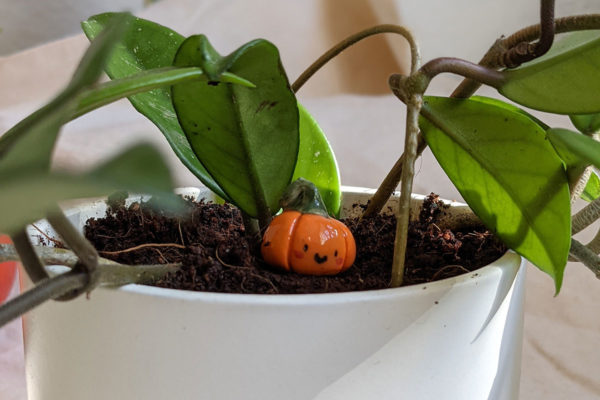 porcelain pumpkin figurine cute