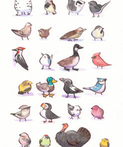 24 quebec winter birds