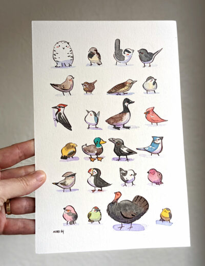 24 Oiseaux du Québec – Image 8