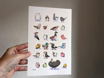 24 Oiseaux du Québec – Image 7