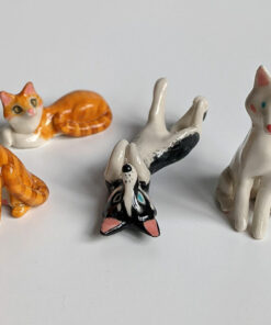 Cats and Dogs