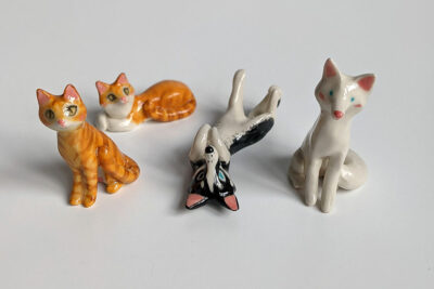 Cats and Dogs