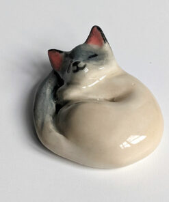 Blue point cat