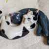 snuggling cats porcelain figurines