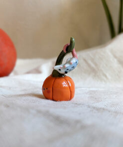 opossum pumpkin