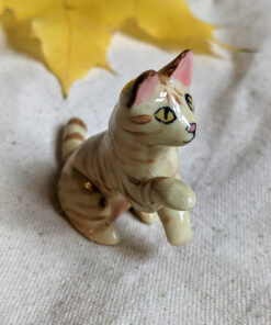 tabby cat sitting