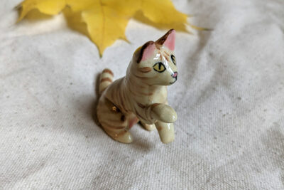 tabby cat sitting