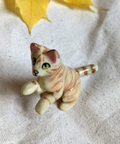 tabby cat sitting