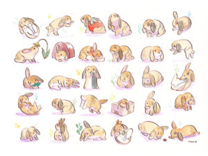 a bunny pet portrait pattern