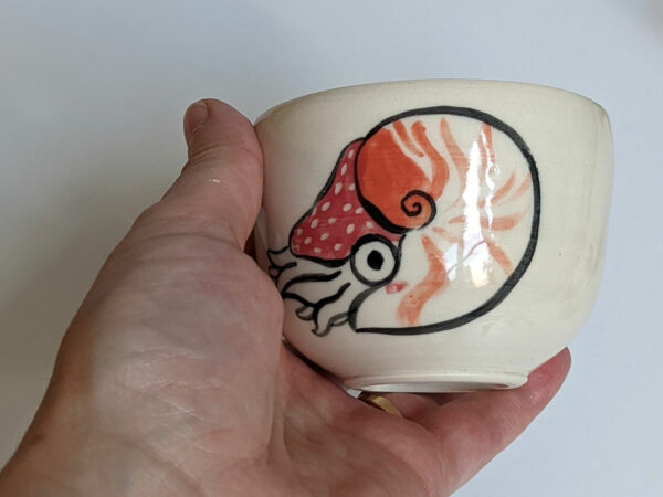 porcelain tumbler nautilus