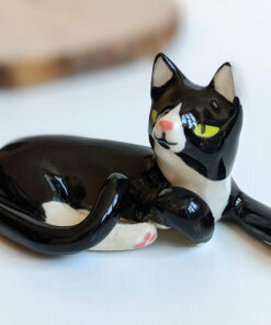 porcelain tuxedo cat