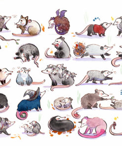 opossum watercolor painting